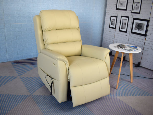Bergandy Power Lift Recliner