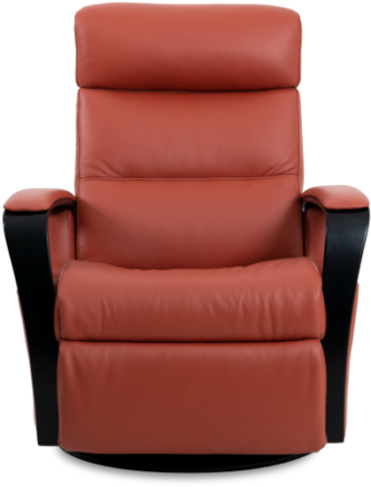 Peak Power Relaxer Recliner by IMG Comfort